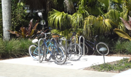 Bicycle and Pedestrian Advisory Committee 1